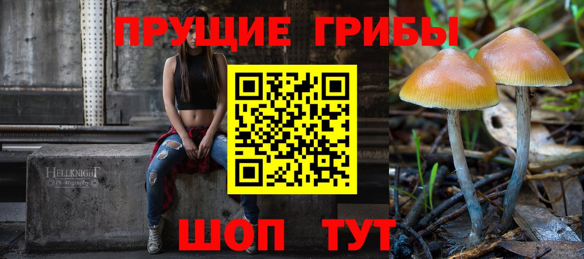 Псилоцибиновые грибы Cubensis Можайск