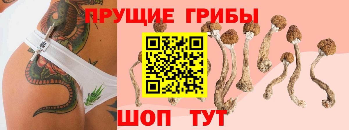 Псилоцибиновые грибы мухоморы  Псилоцибиновые грибы Cubensis  Можайск  Вход с VPN 